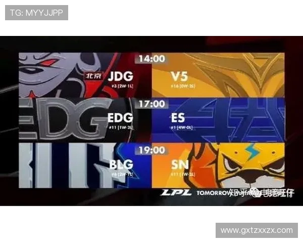 深入探讨EDG战队在比赛中的战术表现与数据分析方法