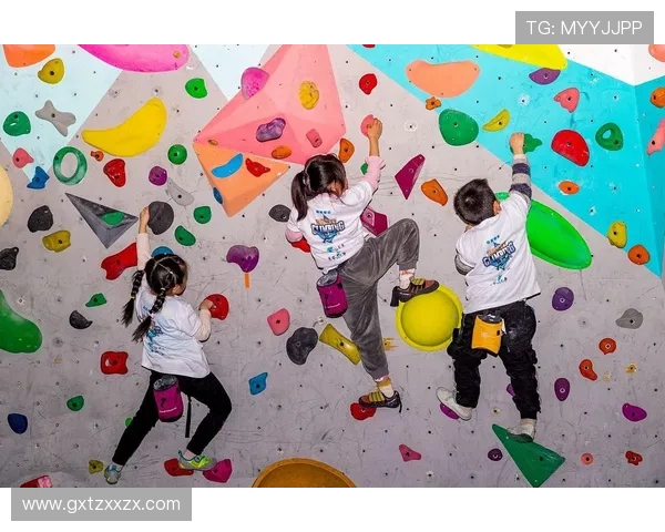 武汉攀岩队的比赛经验分享与攀岩技巧探讨聚焦攀岩运动的未来发展
